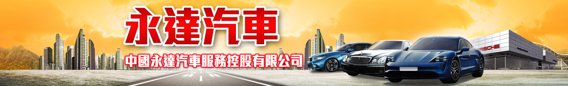 中國永達汽車服務控股有限公司